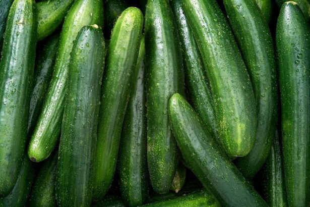 Salmonella Outbreak Linked To Cucumbers Infects 68