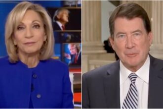 Sen. Bill Hagerty Drops Truth Bombs and Obliterates MSNBC's Andrea Mitchell's Every Left-Wing Narrative | The Gateway Pundit