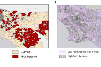 Study finds health disparities in PFAS levels linked to drinking water, food access and industrial pollution