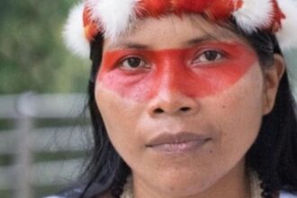 The frontline of the Amazon