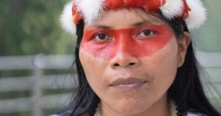 The frontline of the Amazon