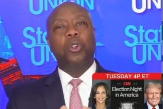 Tim Scott on CNN's State Of The Union.