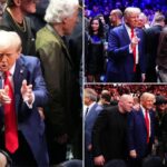 Trump greeted with thunderous applause in triumphant return to MSG for UFC 309 with Elon Musk and Mike Johnson in tow