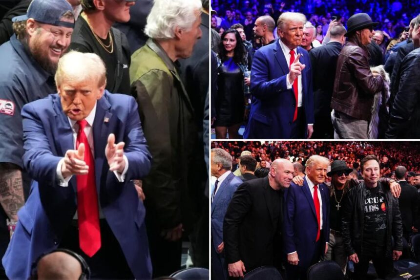 Trump greeted with thunderous applause in triumphant return to MSG for UFC 309 with Elon Musk and Mike Johnson in tow