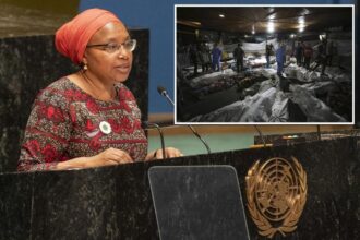 UN says firing of adviser who didn’t call Israel genocidal ‘not unusual’