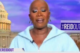 WATCH: MSNBC Host Joy Reid Says Libs Shouldn't Enjoy Thanksgiving with Trump Supporters —'We Don’t Want to Put Up with Your Trolling While We Eat Our Turkey' | The Gateway Pundit