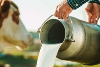 Warnings Issued in California After Bird Flu Confirmed in Raw Milk : ScienceAlert