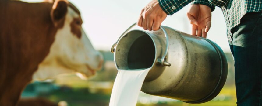 Warnings Issued in California After Bird Flu Confirmed in Raw Milk : ScienceAlert