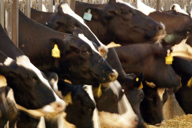 What a Second Trump Administration Means for Food and Farms