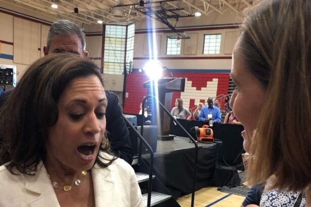 What do America’s other Kamalas think of Harris?