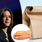 Wis. union workers served ‘insulting’ lunch as part of 'pathetic' Harris pitch 