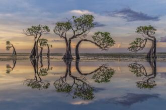 13 jaw-dropping International Landscape Photographer of the Year images