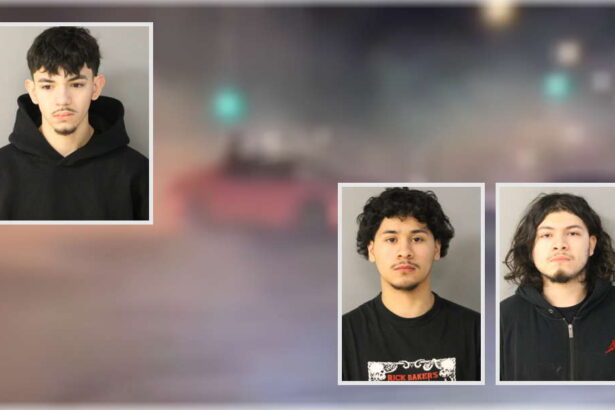 2 get probation, 1 gets prison for having guns at stunt-driving ‘takeover’