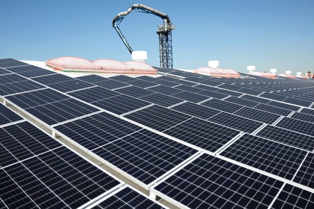 2024 Year in Review: Clean Energy Progress Steeped in Solar and Storage