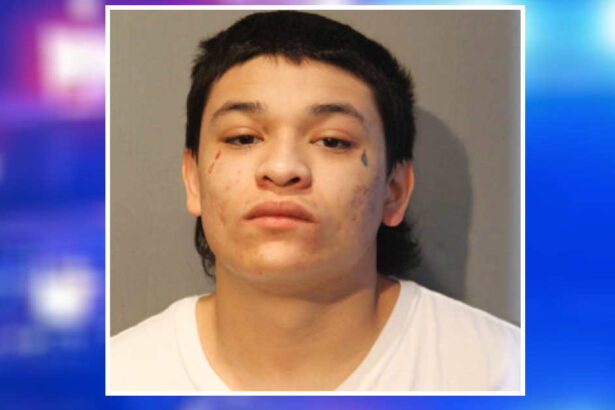 22 years for gunman who killed key witness in a friend’s murder case