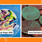 Kindergarten Science Activities main image