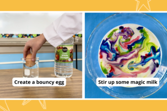 SIde by side images of preschool science activities