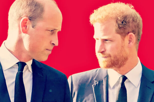 A BROTHERS’ WAR: Unforgiving Prince William Still EXTREMELY Angry With Prodigal Brother Harry, Who Is NOT Invited to the Windsor’s Christmas Celebration in Sandringham |