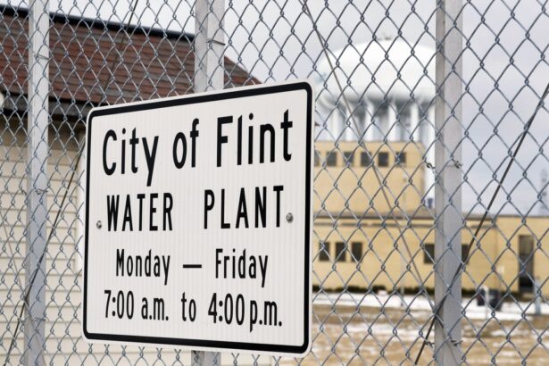 Activism, Production, and Consumption – A Case Study from Flint