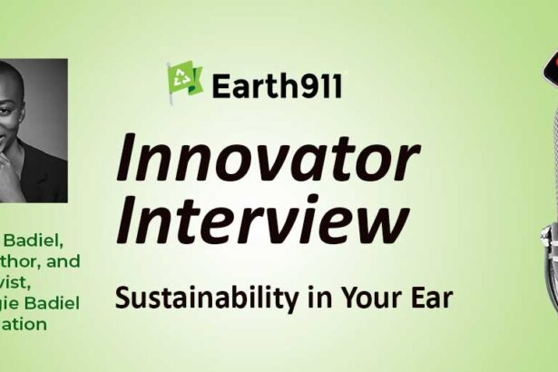 Best of Earth911 Podcast: Supermodel Georgie Badiel Brings Clean Water to Burkina Faso