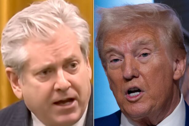 Canadian Lawmaker Scorches Trump’s Holiday ‘Rage Rot’ Against His Country