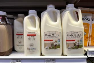 Concerns Grow Over Bird Flu Risks From Raw Milk