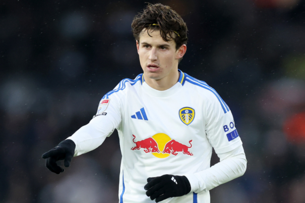 Could the Championship’s best clubs survive in next season’s Premier League? Why Leeds looks a likely bet