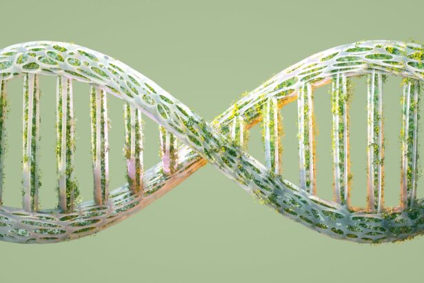 Creating ‘Mirror Life’ Could Be Disastrous, Scientists Warn