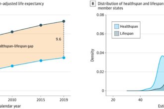 Cross-sectional study shows global divide between longer life and good health