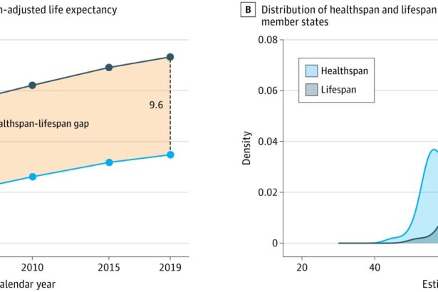 Cross-sectional study shows global divide between longer life and good health