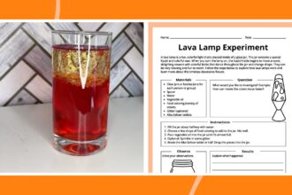 DIY Lava Lamp Experiment: How-To Plus Free Worksheet