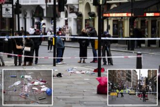 Driver jumps sidewalk, plows into crowd in London Christmas horror