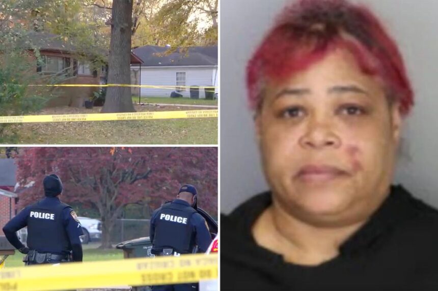 Drunk grandma stabs daughter, grandson during Thanksgiving Day argument