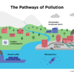 a graphic displaying multiple forms of pollution