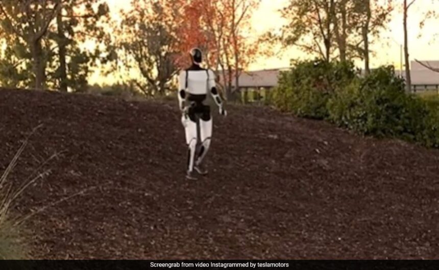 Elon Musk's Tesla Robot "Stumbles Like A Human" While Learning To Walk On Slopes