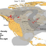 Exposure to remote wildfire smoke linked to increased medical visits for heart and lung problems