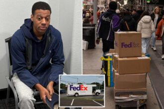 FedEx driver with no Christmas spirit allegedly dumped holiday packages in the woods