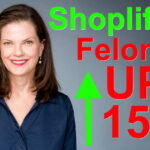 Felony shoplifting cases surge 154% under new state's attorney