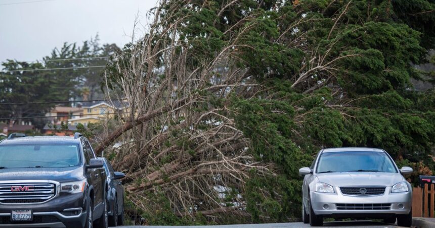 First-Ever Tornado Warning In San Francisco