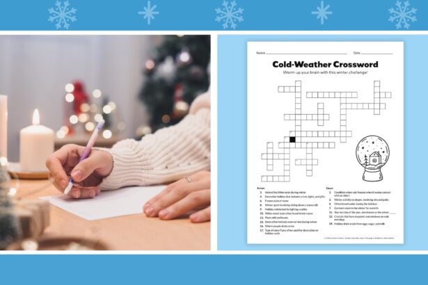 Free Winter Activities Bundle for Middle and High School