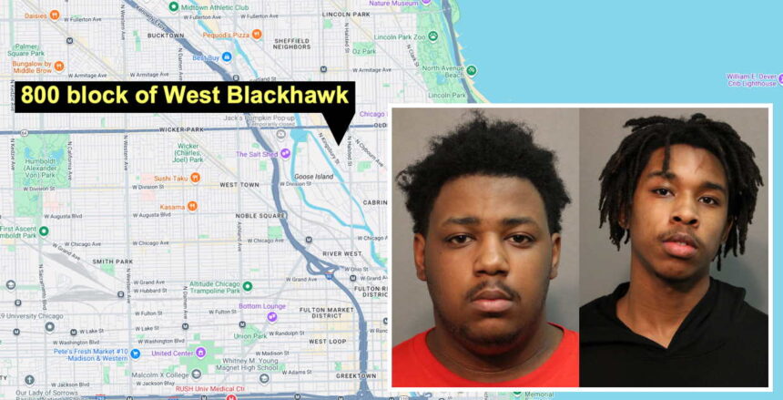 Goose Island carjackers busted after pursuit by CPD helicopter and state police, report says