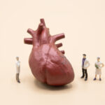 Heart failure risk becomes easier to estimate with new model