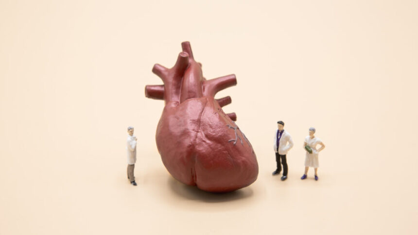 Heart failure risk becomes easier to estimate with new model