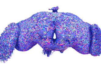 Digital reconstructions of blue, pink and purple cells make up a fruit fly brain, which is on a white background.