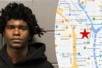 Man gets probation for having gun, drug stash in West Loop tent city