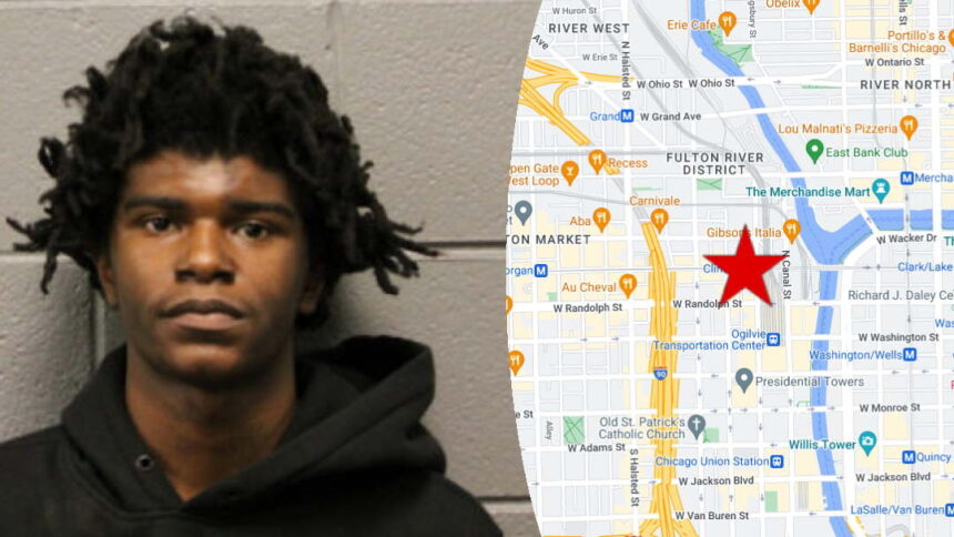 Man gets probation for having gun, drug stash in West Loop tent city