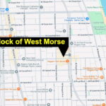 Man shot during fight near Morse Red Line station