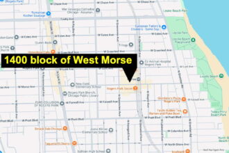 Man shot during fight near Morse Red Line station