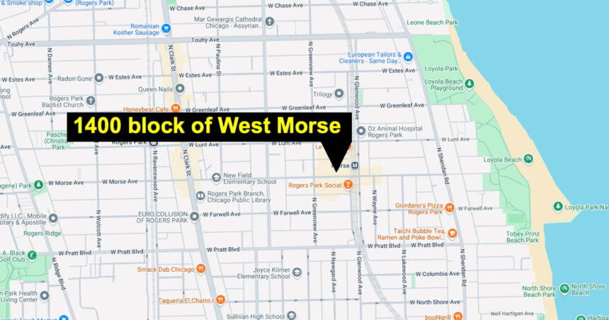 Man shot during fight near Morse Red Line station