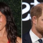 Meghan Markle Hits Red Carpet Alone Amid Prince Harry Split Rumors